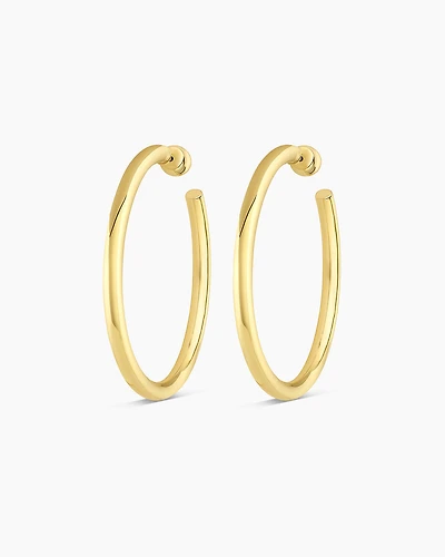 Carter Statement Hoops