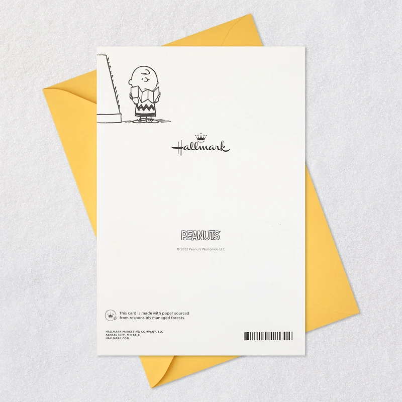 Peanuts® Charlie Brown Wonderful You Funny Birthday Card With Mini Cards for only USD 5.99 | Hallmark