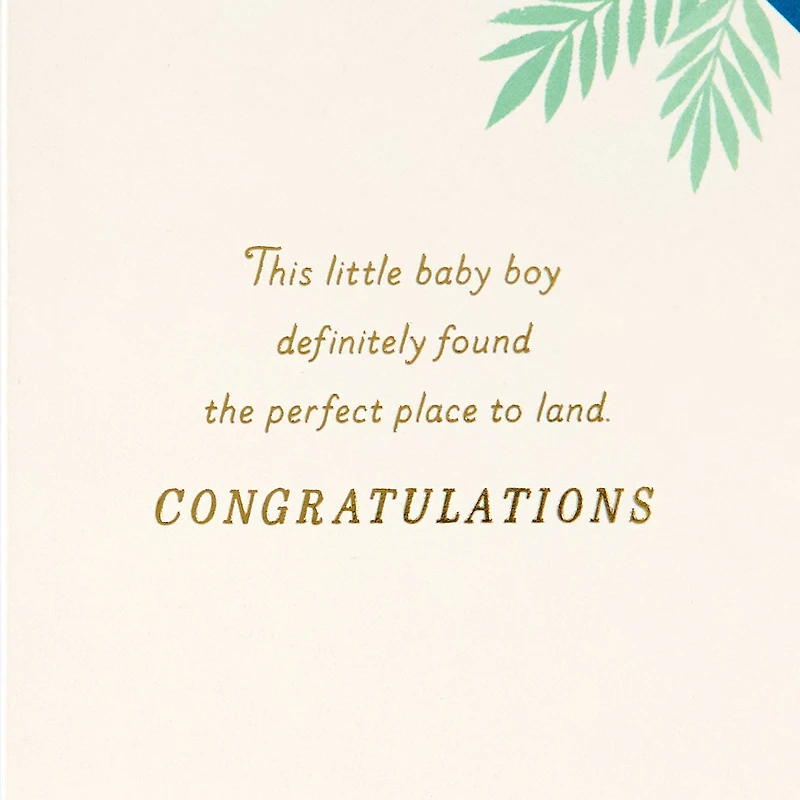 Bundle of Wonder New Baby Boy Card for only USD 6.99 | Hallmark