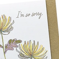 Hope, Comfort and Peace Sympathy Card for only USD 6.59 | Hallmark