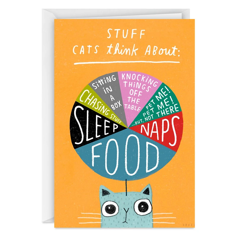 Stuff Cats Think About Pie Chart Funny Blank Card for only USD 3.99 | Hallmark