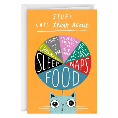 Stuff Cats Think About Pie Chart Funny Blank Card for only USD 3.99 | Hallmark