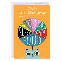Stuff Cats Think About Pie Chart Funny Blank Card for only USD 3.99 | Hallmark