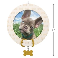 Faithful Friend 2025 Personalized Ornament, Custom Photo for only USD 24.99 | Hallmark