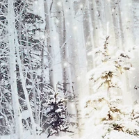 Snowy Pine Tree Blessings Everywhere Boxed Christmas Cards, Pack of 16 for only USD 12.49 | Hallmark