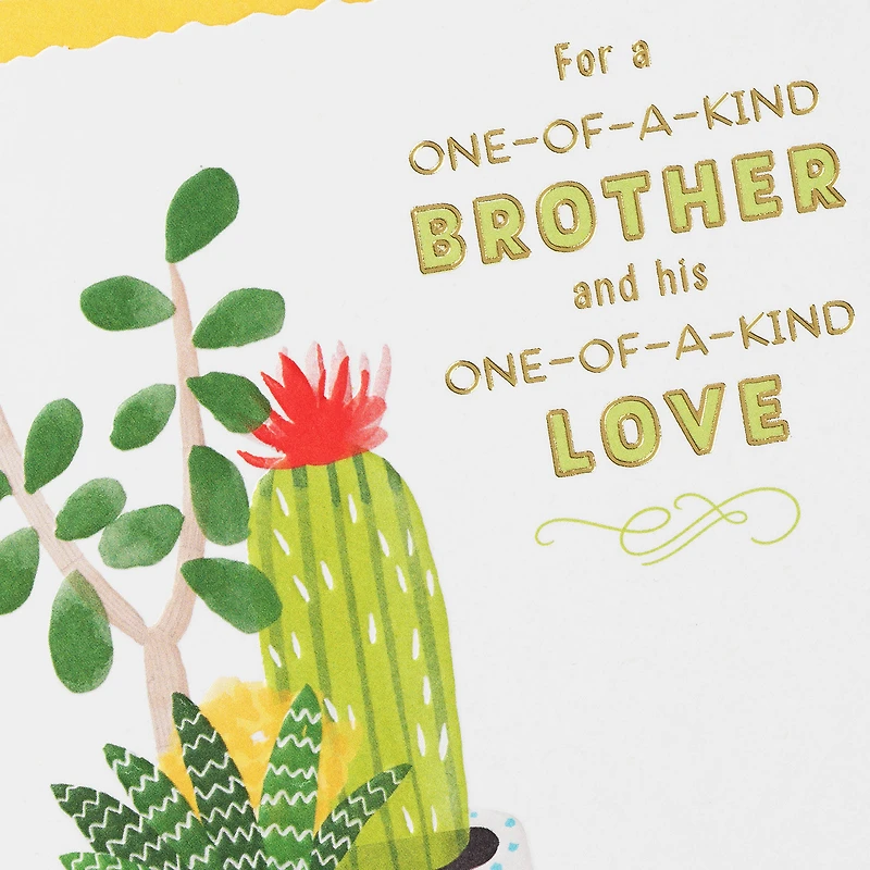 One-of-a-Kind Anniversary Card for Brother and Spouse for only USD 3.99 | Hallmark