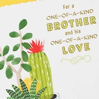 One-of-a-Kind Anniversary Card for Brother and Spouse for only USD 3.99 | Hallmark