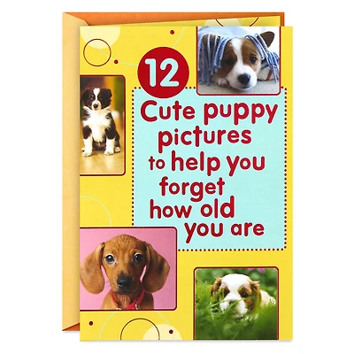 Puppy Pics to Help Forget Getting Older Birthday Card for only USD 4.99 | Hallmark