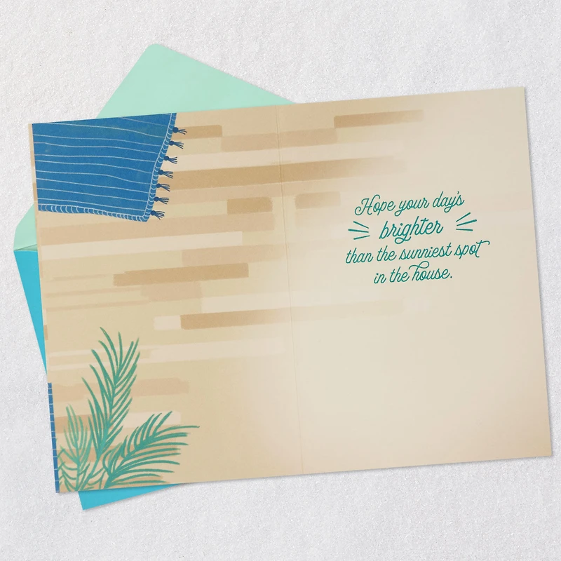 Find Your Sunny Spot Birthday Card From the Cat for only USD 2.99 | Hallmark