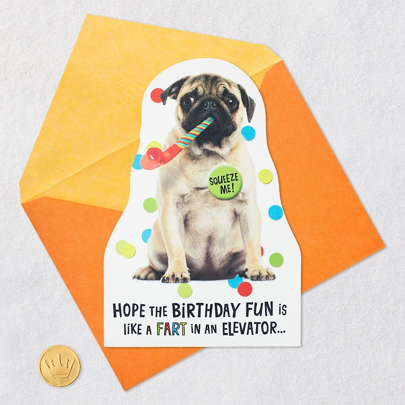 Impossible to Ignore Funny Musical Birthday Card With Sound for only USD 5.99 | Hallmark