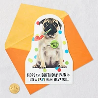 Impossible to Ignore Funny Musical Birthday Card With Sound for only USD 5.99 | Hallmark