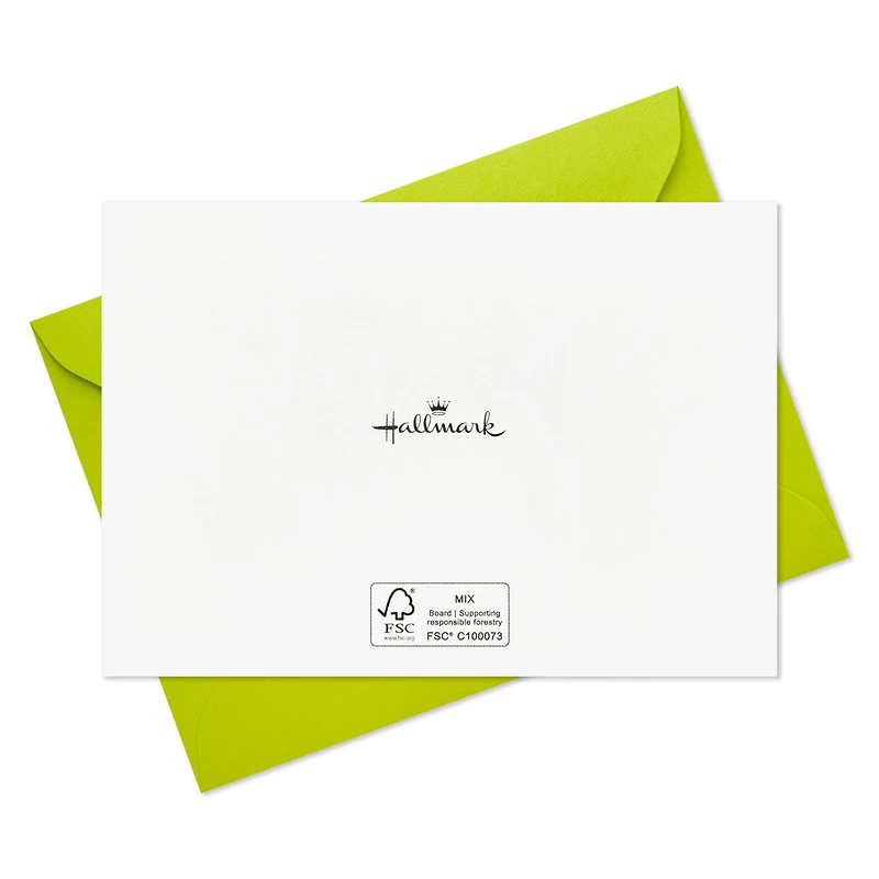 Give a Giggle Assorted Boxed Birthday Note Cards, Pack of 24 for only USD 14.99 | Hallmark