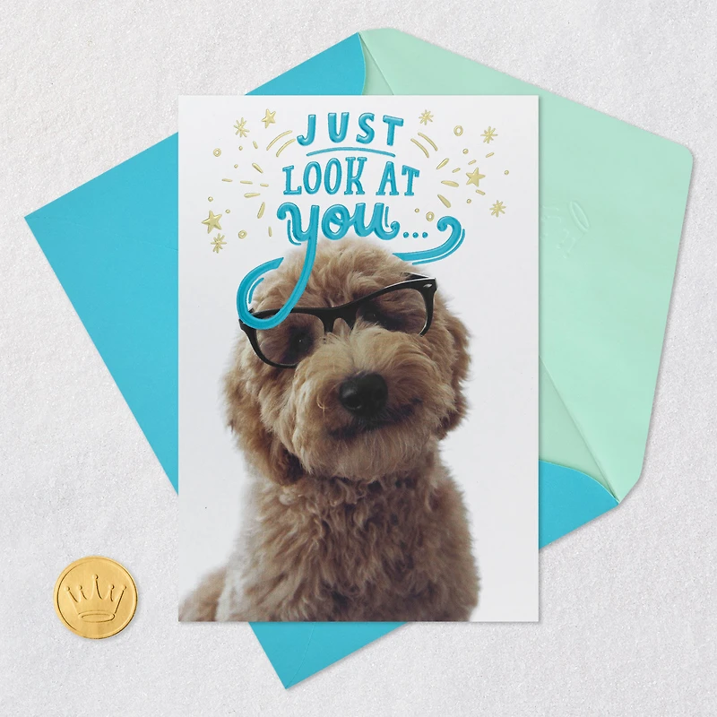 Look at You Being All Awesome Congratulations Card for only USD 5.59 | Hallmark