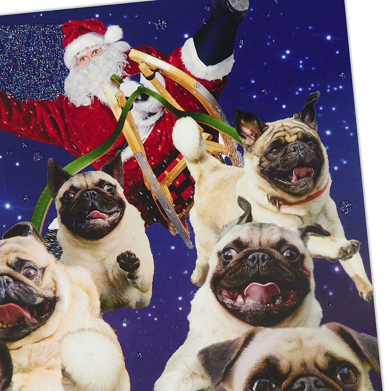 Merrier Together Funny Musical Christmas Card for All for only USD 6.59 | Hallmark
