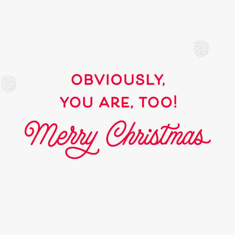 You and Every Dog Made the Nice List Christmas Card for only USD 2.99 | Hallmark