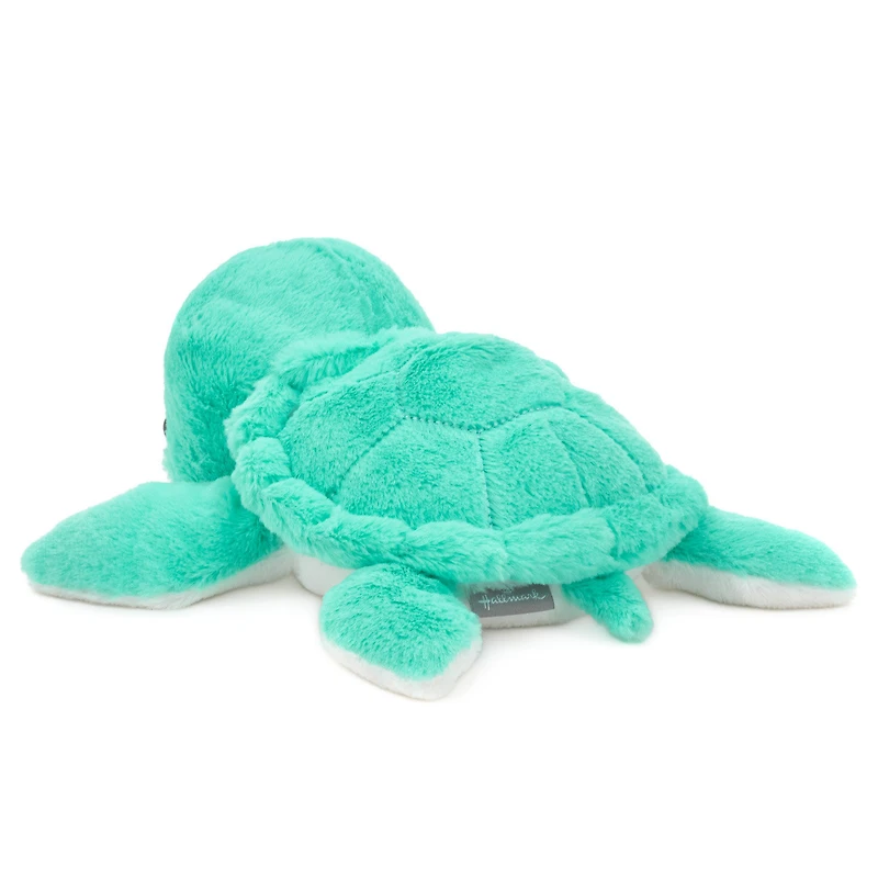 Turquoise Sea Turtle Plush, 8" L for only USD 19.99 | Hallmark