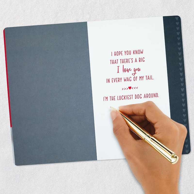 I'm the Luckiest Valentine's Day Card From the Dog for only USD 2.99 | Hallmark