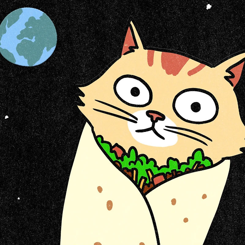 Purrito Funny Card for only USD 4.49 | Hallmark