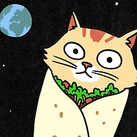 Purrito Funny Card for only USD 4.49 | Hallmark