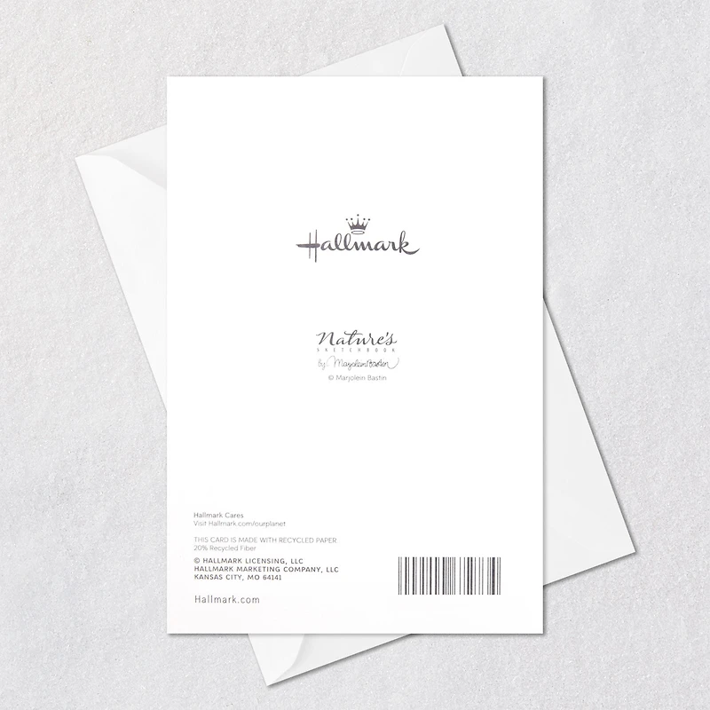 Marjolein Bastin Celebrating this Meaningful Moment Congratulations Card for only USD 5.59 | Hallmark