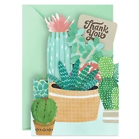 Succulents Collection Blank Thank You Notes, Pack of 8 for only USD 10.49 | Hallmark