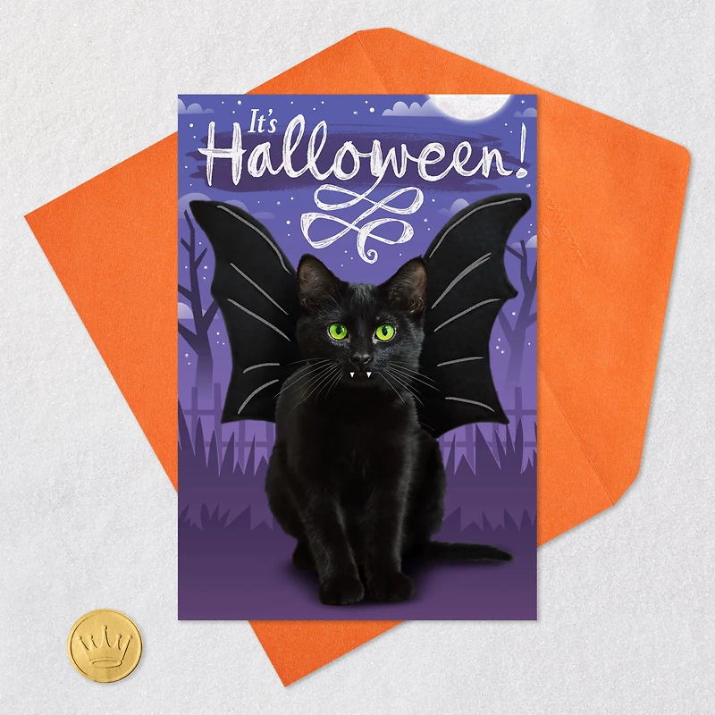 Scare Up Some Fun Black Cat Bat Halloween Card for only USD 0.99 | Hallmark