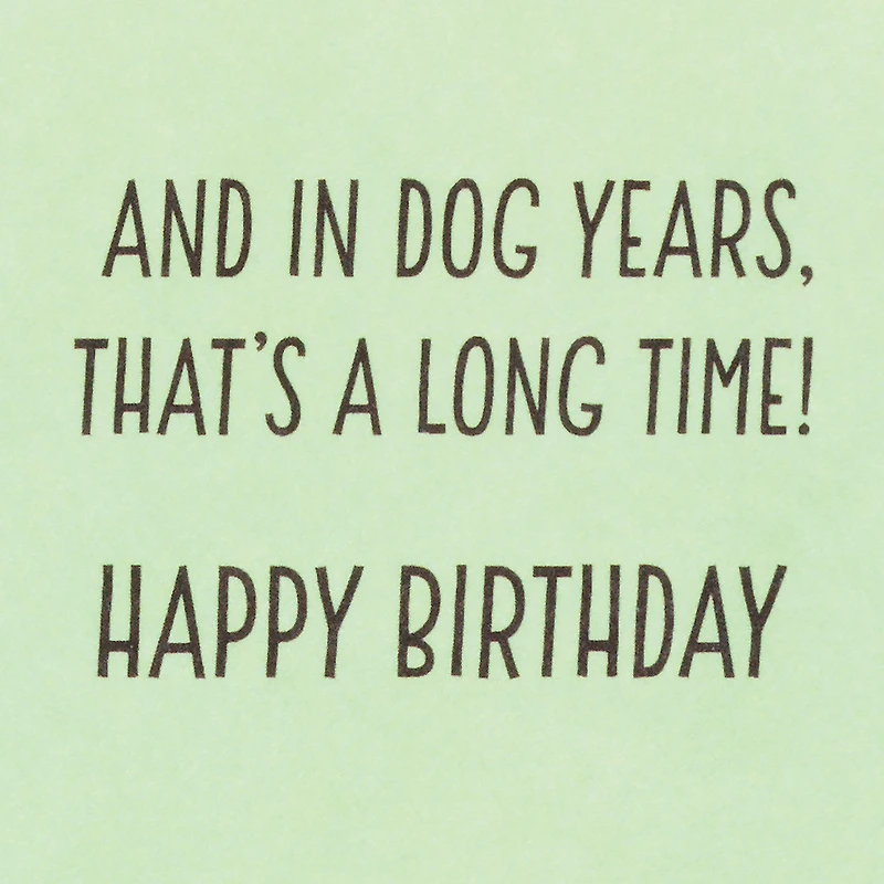 Dog Years Waiting for Cake Funny Birthday Card for only USD 4.49 | Hallmark