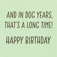 Dog Years Waiting for Cake Funny Birthday Card for only USD 4.49 | Hallmark