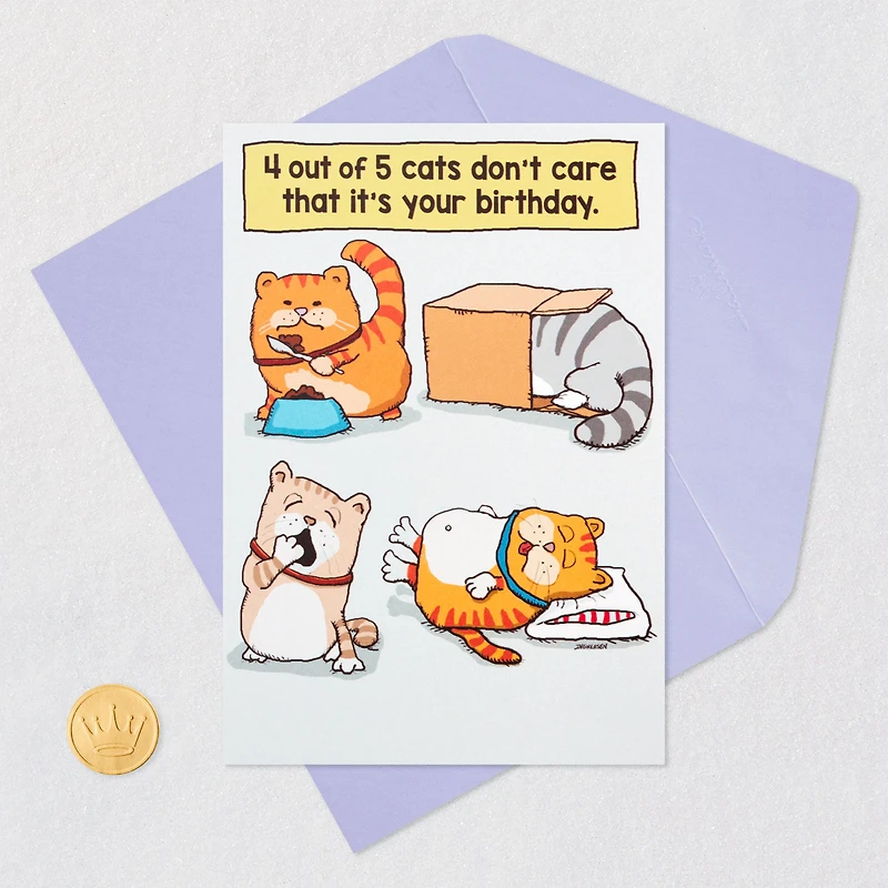 Cats Don't Care Funny Birthday Card for only USD 3.99 | Hallmark