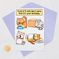 Cats Don't Care Funny Birthday Card for only USD 3.99 | Hallmark