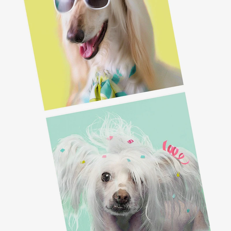 An Extra Day to Recover Funny Birthday Card for only USD 3.99 | Hallmark