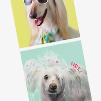 An Extra Day to Recover Funny Birthday Card for only USD 3.99 | Hallmark