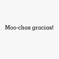 Moo-chas Gracias Funny Thank You Card for only USD 3.99 | Hallmark