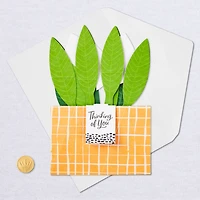 Peace Lily Love You 3D Pop-Up Thinking of You Card for only USD 7.99 | Hallmark