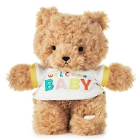 Welcome Baby Recordable Teddy Bear Stuffed Animal, 8.75" for only USD 24.99 | Hallmark