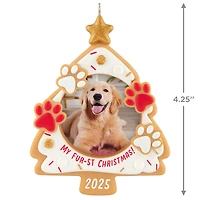 My Fur-st Christmas 2025 Photo Frame Ornament for only USD 19.99 | Hallmark