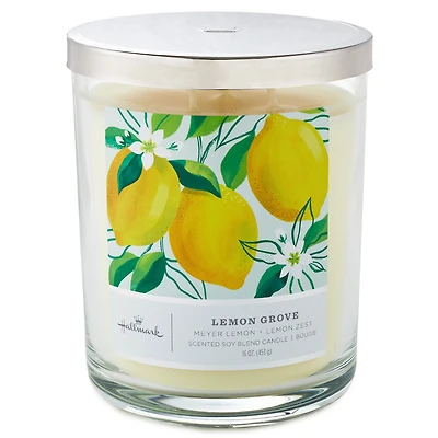 Lemon Grove 3-Wick Jar Candle, 16 oz. for only USD 29.99 | Hallmark