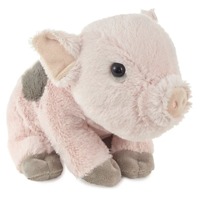 Baby Pig Stuffed Animal, 6" for only USD 19.99 | Hallmark