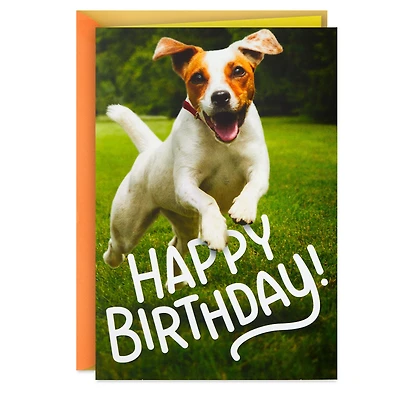 Have an Off-Leash Kind of Day Funny Birthday Card for only USD 2.99 | Hallmark