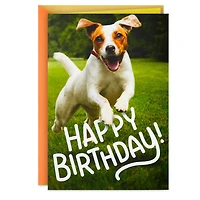 Have an Off-Leash Kind of Day Funny Birthday Card for only USD 2.99 | Hallmark
