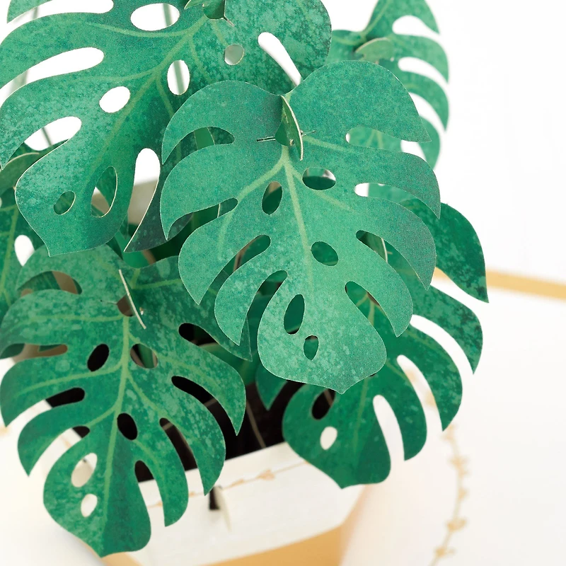 Plant in Pot 3D Pop-Up Thinking of You Card for only USD 12.99 | Hallmark