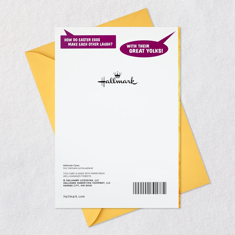 Riddles From the Funny Bunny Lift-the-Flap Easter Card for only USD 2.99 | Hallmark