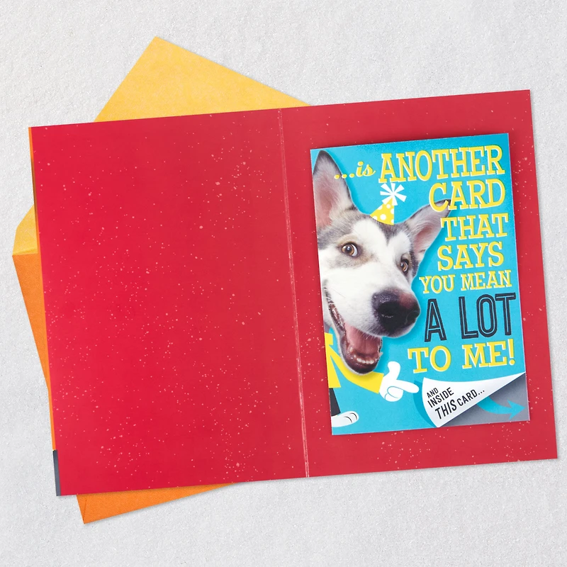 Hugging Dog Pop-Up Birthday Card With Mini Cards for only USD 6.59 | Hallmark