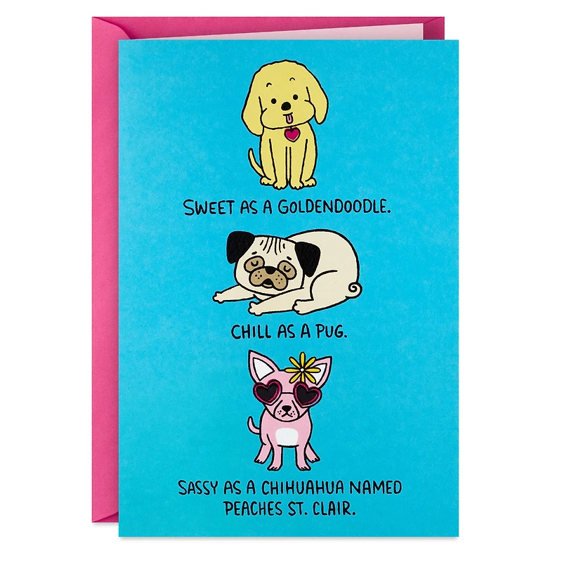 Baddest Bitch Around Funny Birthday Card for only USD 4.49 | Hallmark