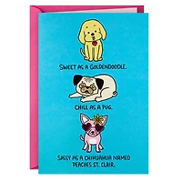 Baddest Bitch Around Funny Birthday Card for only USD 4.49 | Hallmark