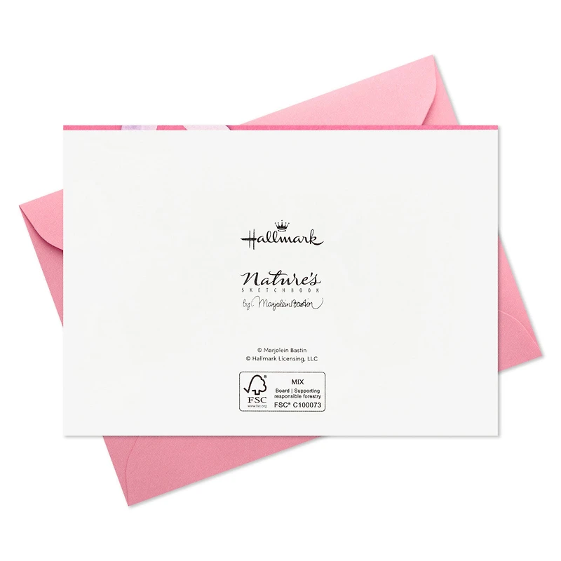 Marjolein Bastin Hummingbird and Butterfly Boxed Blank Notes, Pack of 20 for only USD 10.99 | Hallmark