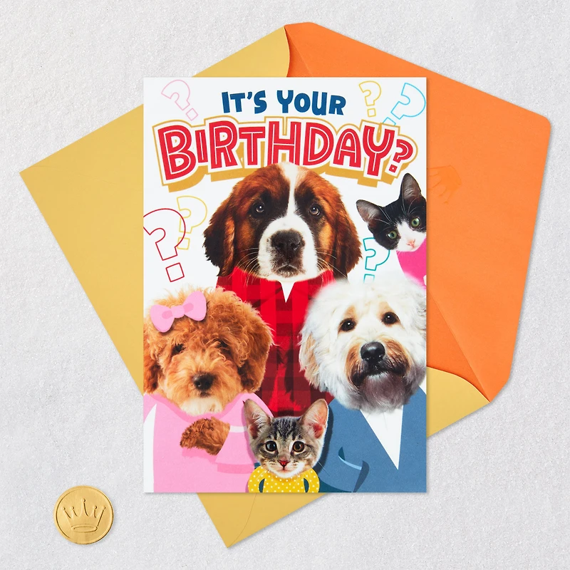 Round of Appaws Pop-Up Birthday Card for only USD 4.59 | Hallmark