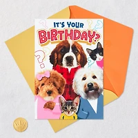 Round of Appaws Pop-Up Birthday Card for only USD 4.59 | Hallmark