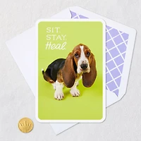 Sit, Stay, Heal Get Well Card for only USD 2.99 | Hallmark