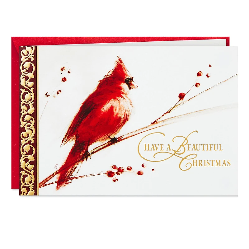 Cardinal on Branch Boxed Christmas Cards, Pack of 40 for only USD 15.49 | Hallmark